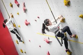 尼克斯大胜连两季横扫奇才 大桥单节20分唐斯31+11连8战20+